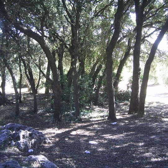 Bosque de La Bañizuela