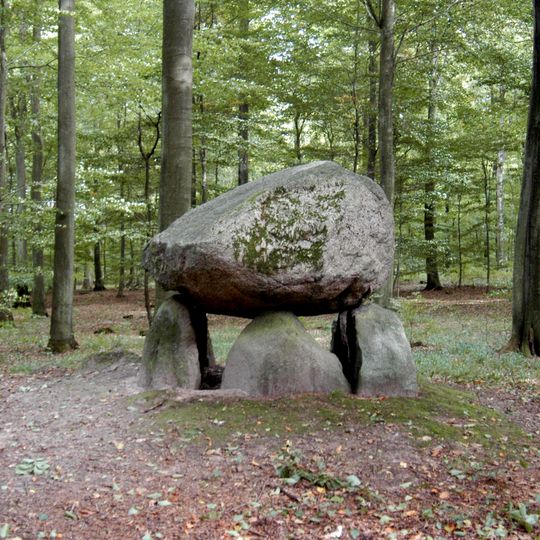 Runddysse im Klosterris Hegn