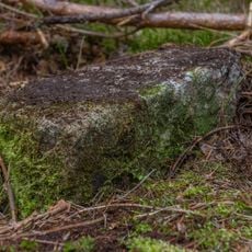 Grenzstein Obere Gemeinde, Fünfzigmorgen in Fürth