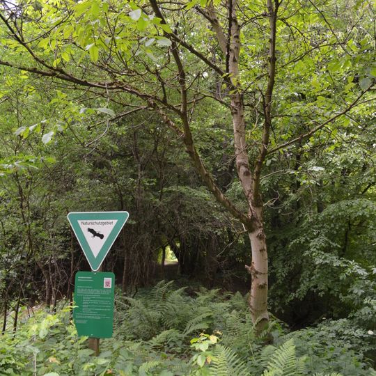 Silberbachtal bei Schloßborn