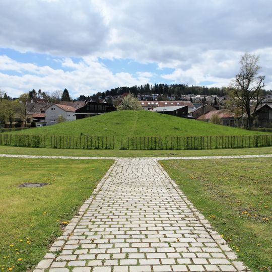 Krautbühl, Fürstengrabhüge