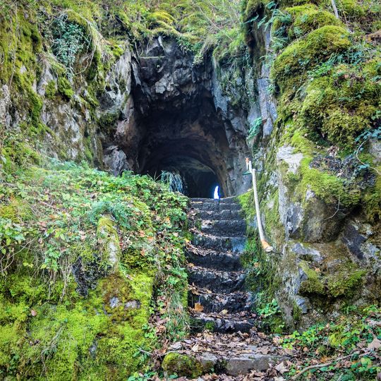 Château de Wildenstein