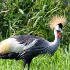 Hemker Park & Zoo