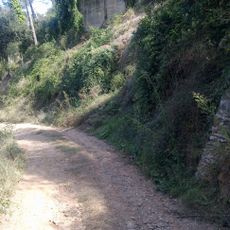 Borja del Serral d'en Roig