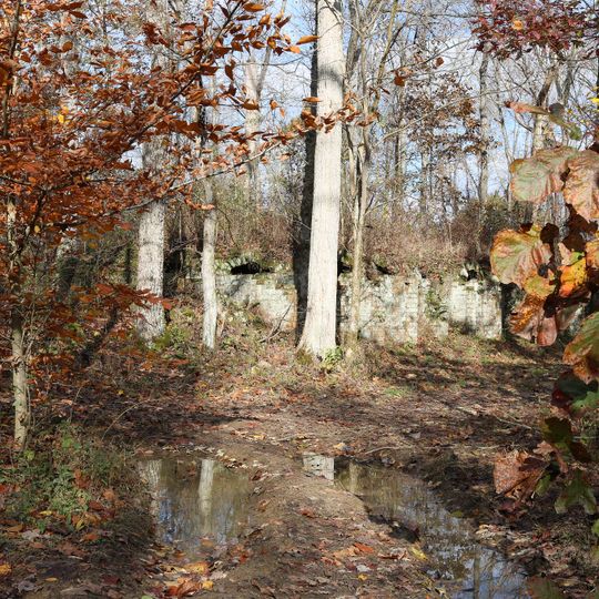 Vinton Furnace State Experimental Forest
