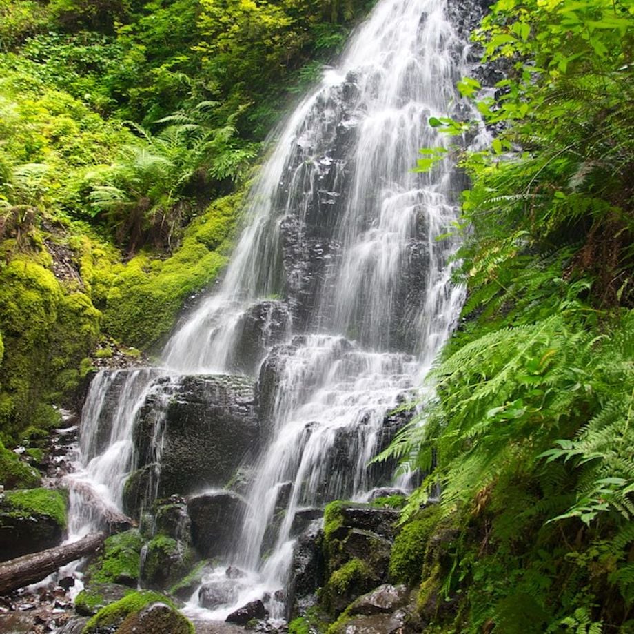 wahclella-falls-cascade-dans-columbia-river-gorge-oregon-tats-unis