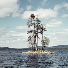 Tisjön