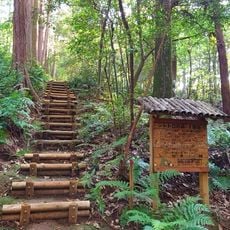 Totoro’s Forest No. 1