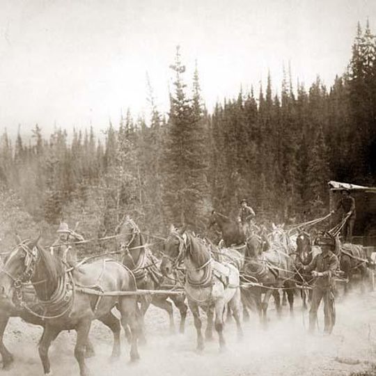 Rattlesnake Station