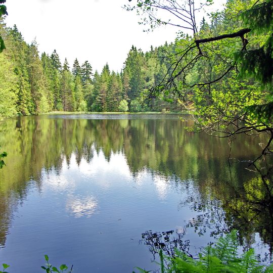 Bečovské lesní rybníky