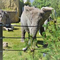 Tallinn Zoo