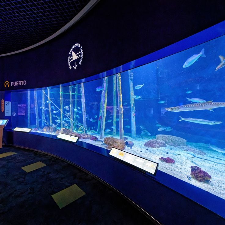 L'Oceanogràfic