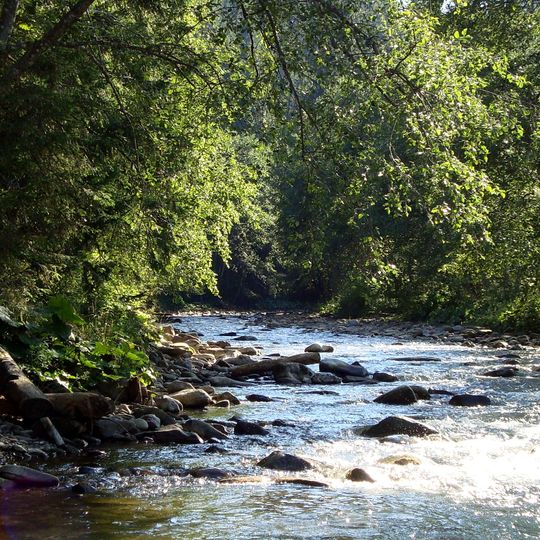 White & Black Tiszas Reserve