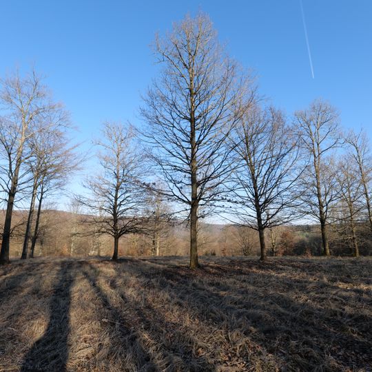 Altholzinsel Gretenberg