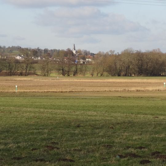 Salzwiesen von Münzenberg