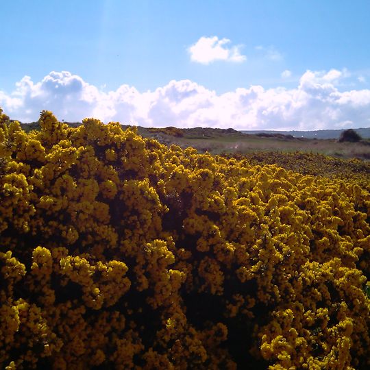 Portmarnock Golf Club