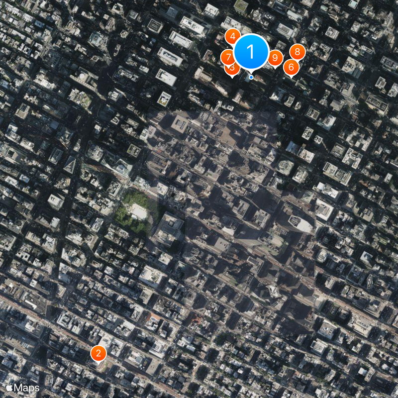 Rockefeller Center Christmas Tree Kaart