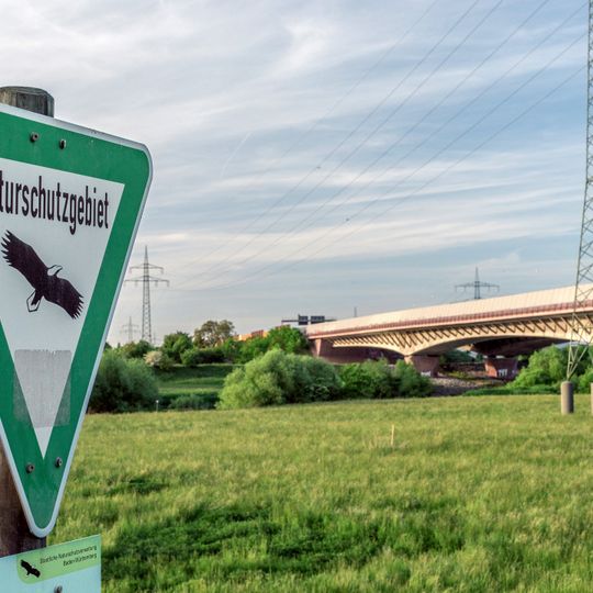 Unterer Neckar: Wörthel