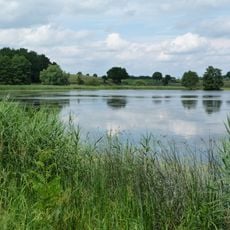 Goldensee, Mechower, Lankower und Culpiner See (MV)
