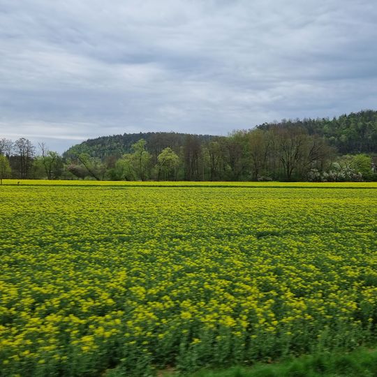 Circondario di Marburgo-Biedenkopf