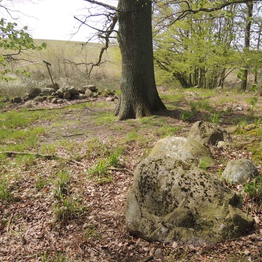 Großsteingrab Groß Ridsenow