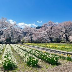実相寺