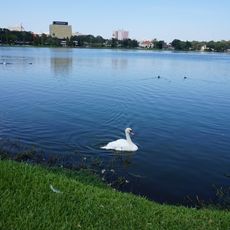 Lake Morton