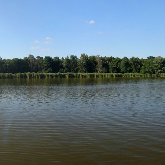 Františkův rybník