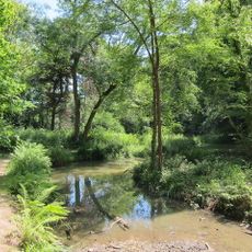 Summerfields Wood