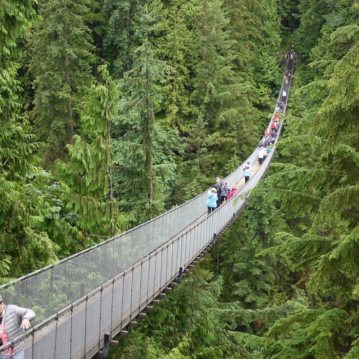 Capilano Hängebrücke