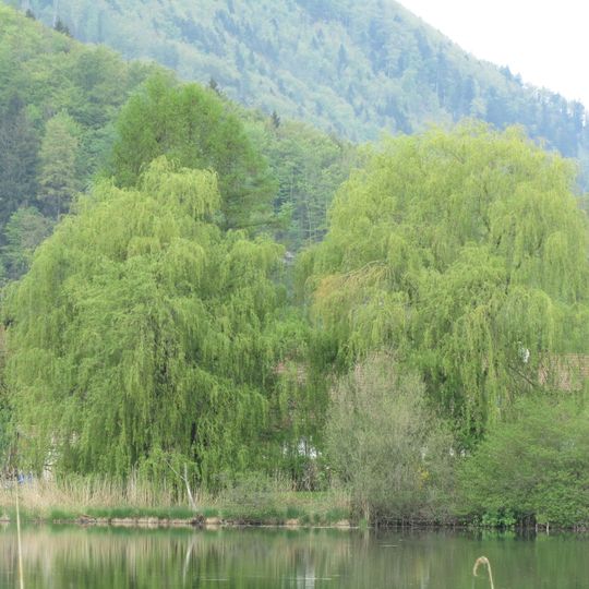 Eglsee samt angrenzender Niedermoorflächen