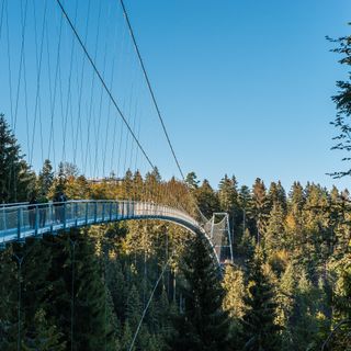 Wildline Suspension Bridge