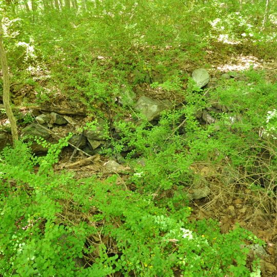 Hugh Cain Fulling Mill and Elias Glover Woolen Mill Archeological Site