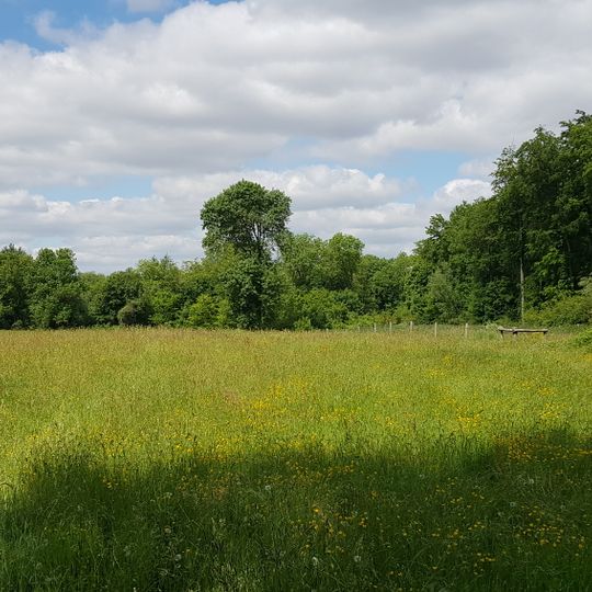 Belgium-Netherlands boundary stone no. 53a