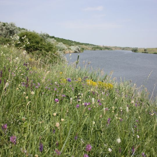 Kamianohirskyi zakaznyk