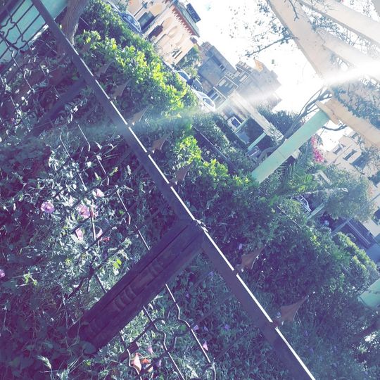 Distretto di Hammam Bou Hadjar