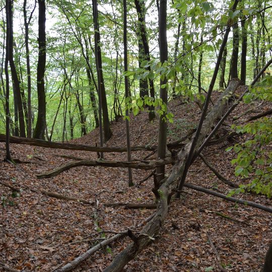 Biosphärenreservat Karstlandschaft Südharz