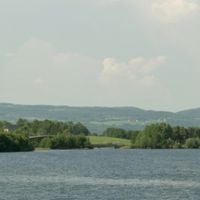 Hamar