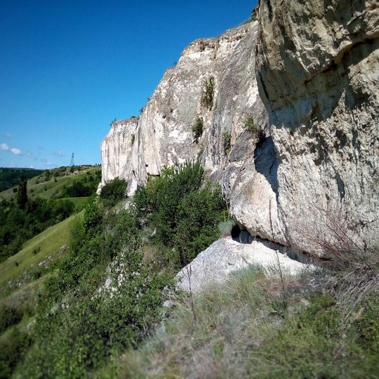 Mohyliv-Podilskyi Raion