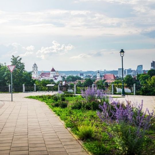 Subačiaus g. apžvalgos aikštelė