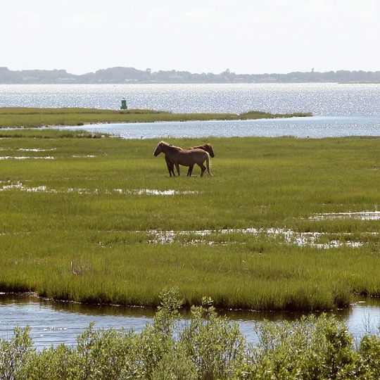 Assateague State Park