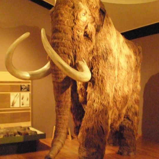 Museo di scienze naturali di Basilea