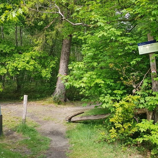 Belgium-Netherlands boundary stone no. 14