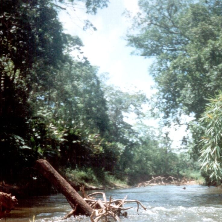 Réserve de la biosphère Río Plátano