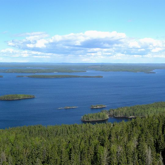 Koli