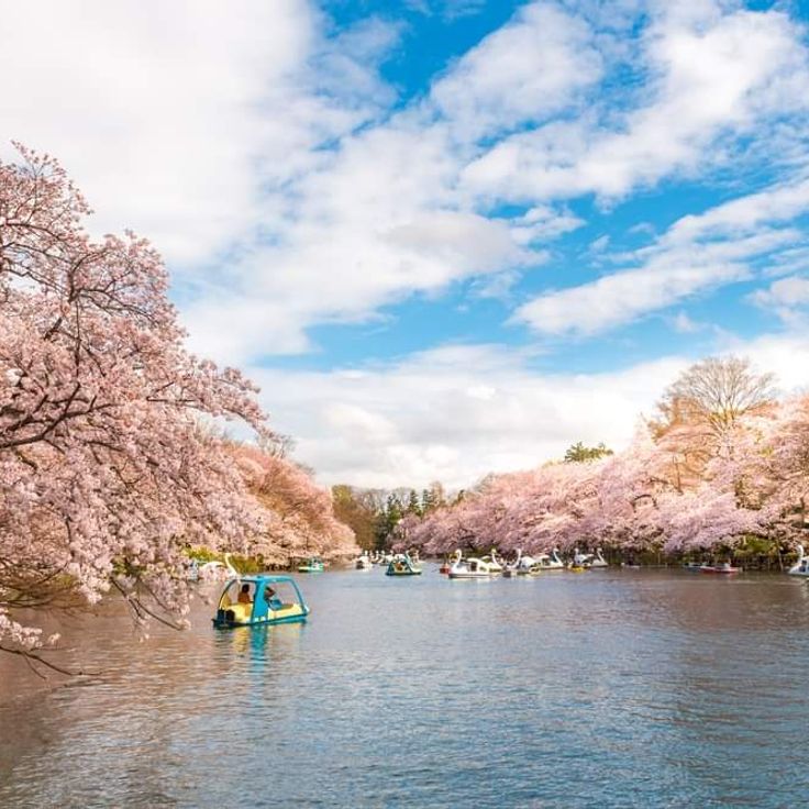 Inokashira-parken