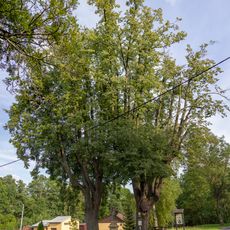 Lípy u sv. Jana Nepomuckého