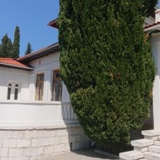 Nikolai Ostrovsky house-museum