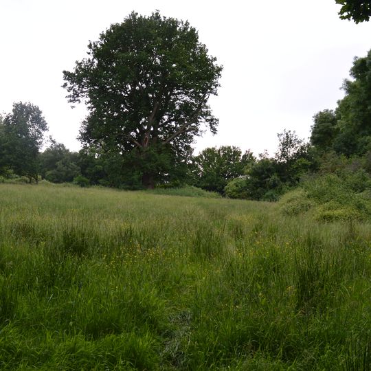 Mill Meadows, Billericay