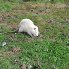 Golf de la Vallée de Germigny